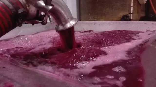 Explorando los Misterios de la Fermentación: El Arte Transformador detrás del Vino