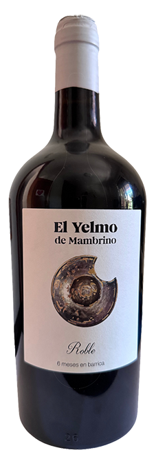 El Yelmo de Mambrino